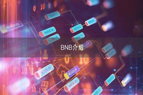 BNB介绍