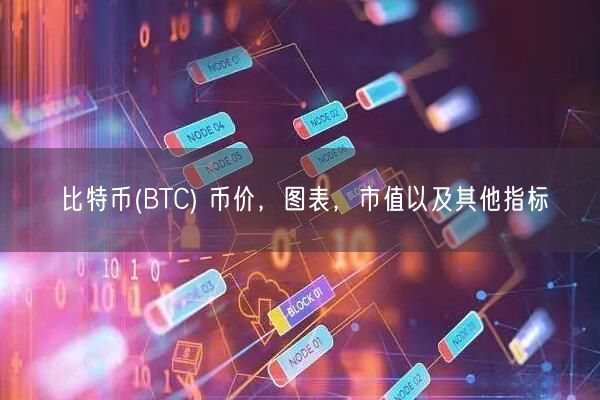 比特币(BTC) 币价，图表，市值以及其他指标