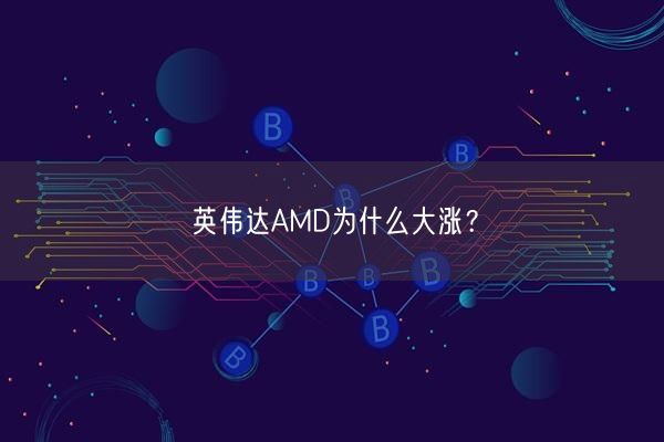 英伟达AMD为什么大涨？