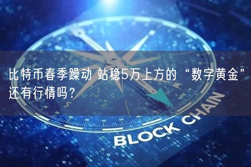 比特币春季躁动 站稳5万上方的“数字黄金”还有行情吗？