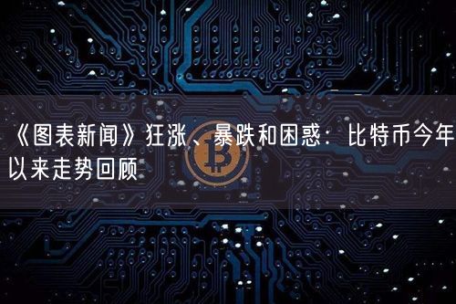 《图表新闻》狂涨、暴跌和困惑：比特币今年以来走势回顾