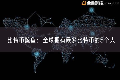 比特币鲸鱼：全球拥有最多比特币的5个人