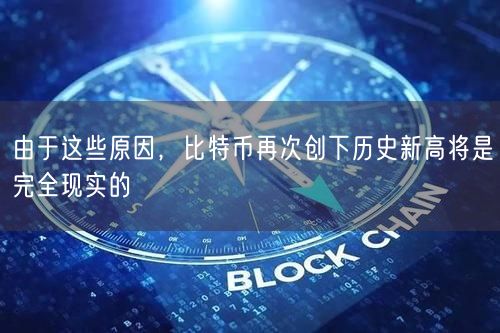 由于这些原因，比特币再次创下历史新高将是完全现实的